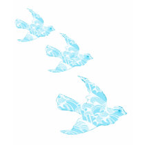 birdy t-shirts