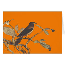 Birdybird Greeting Cards