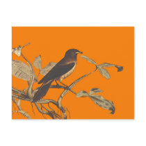 Birdybird Postcards