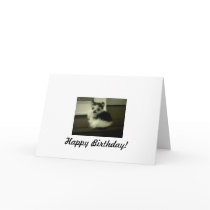 Birhday Card