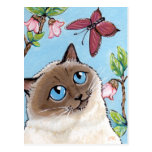 Birman Cat and Butterfly painting Postcard postcards