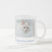 Birman Cat Frosted Mug