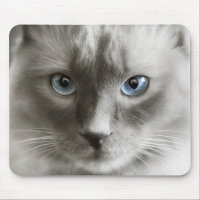 Birman Cat mousepad