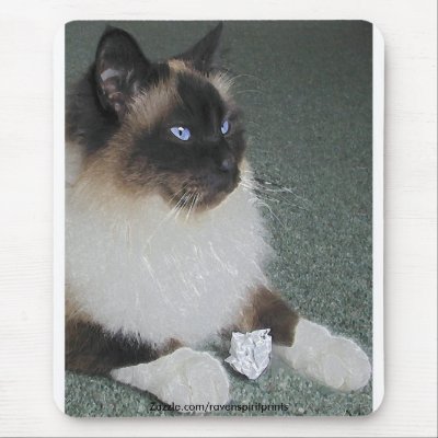 Birman - Ragdoll Cat Mousepad