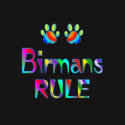 Birmans Rule shirt