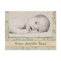Birth Announcement - Fennel Sage postcards by PocoModo Birth Announcement - Fennel Sage postcards