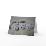 Birth announcement for triplets cards
