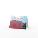 Birth Announcement -- girl cards