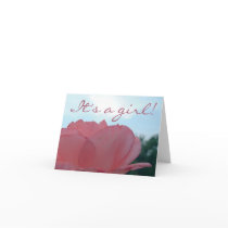 Birth Announcement -- girl cards