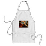 Birth Apron