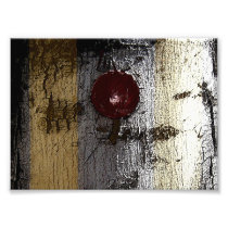 Birth Mark Photograph