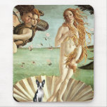 Birth of Venue Venus - Boston Terrier #1 mousepads