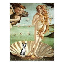 Birth of Venue Venus - Boston Terrier #1 Postcard