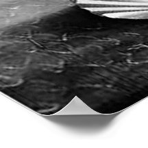 Birth of Venus Black & White Poster