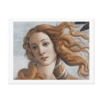 venus postcard