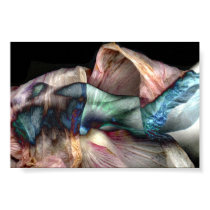 Birth of Venus posters by apresimage Birth of Venus posters