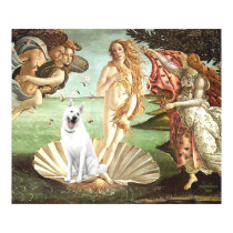Birth of Venus-White German Shepherd Posters