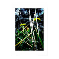 Birth & rebirth posters by jazabell Birth & rebirth posters