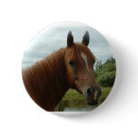 Birthday 012 pinback buttons