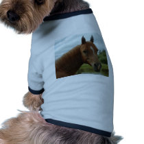 Birthday 012 pet tee