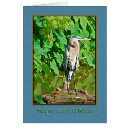 Birthday 100th Great Blue Heron Card Zazzle