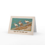 Birthday, 55th, Ibis Birds Card