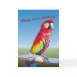 Birthday, 60th, Macaw Parrot Cards