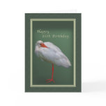 Birthday, 85th, White Ibis Bird Card