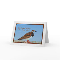 Birthday, 98th, Ruddy Turnstone Bird Greeting Card