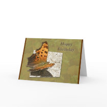 Birthday Angle Wing Comma Butterfly Greeting Cards