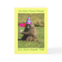 Birthday Belated Card