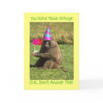 Birthday Belated Card
