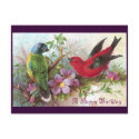 Birthday Birds 1800s postcards by pinkalmond Birthday Birds 1800s postcards