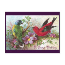 Birthday Birds 1800s postcards by pinkalmond Birthday Birds 1800s postcards