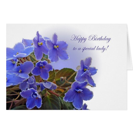 Birthday Blue African Violets Card | Zazzle