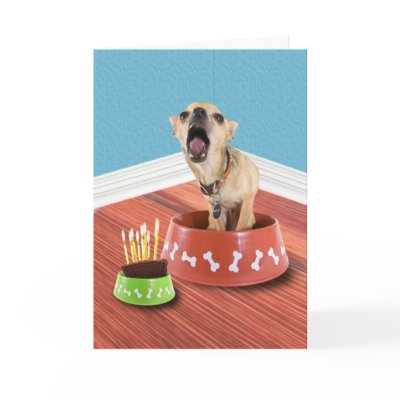 Birthday Bowl Greeting Card by MyShortLeash