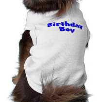 Birthday Boy (Blue) pet clothing