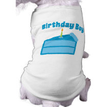 Birthday Boy pet clothing
