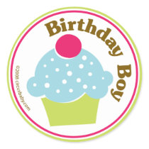 Birthday Boy stickers