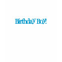 Birthday Boy! t-shirts by Hope2BaRN Birthday Boy! t-shirts