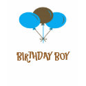 BIRTHDAY BOY t-shirts by HappyTees BIRTHDAY BOY t-shirts
