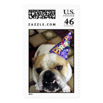 Birthday Bulldog Postage Stamp