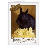 Birthday - Bunny and Daisies Greeting Card
