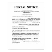 Birthday Candle License posters