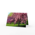 Birthday Card by MarDar Birthday Card