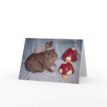 BIRTHDAY CARD