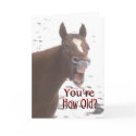 Birthday Card by NatureGuy Birthday Card