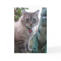 Birthday Card