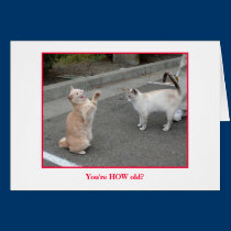 Birthday card cards