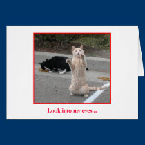 Birthday Card cards